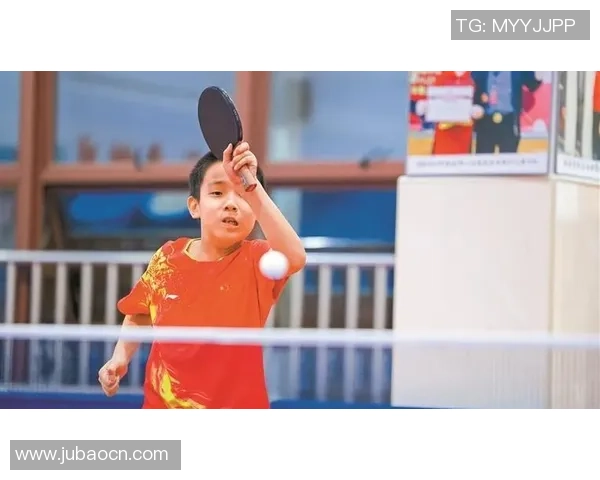 乒乓球深度：解密深圳乒乓球队的阵地战